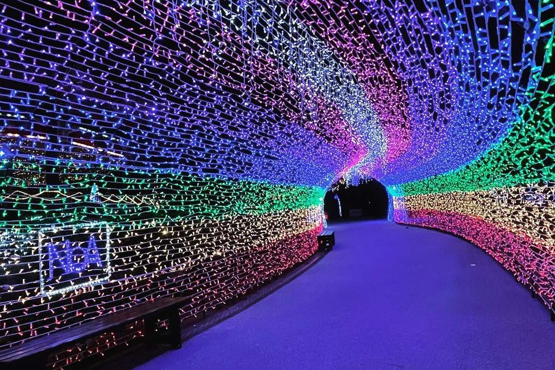 ときわファンタジア「虹のトンネル」